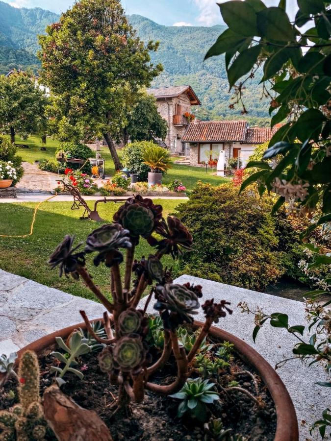 Il Fienile - Lake Como Heritage Home In Molino Maufet Watermill - Lake View Terrace 콜리코 외부 사진