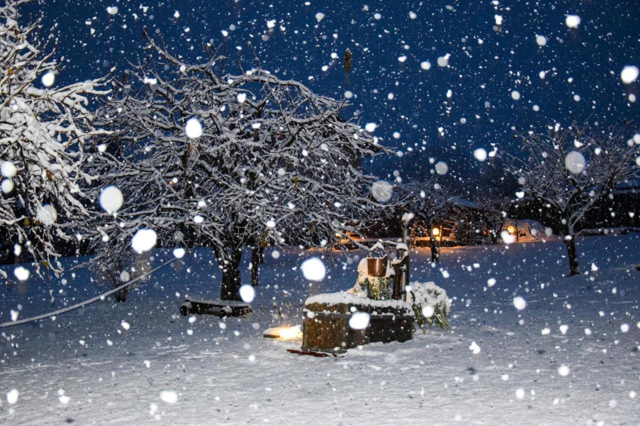Il Fienile - Lake Como Heritage Home In Molino Maufet Watermill - Lake View Terrace 콜리코 외부 사진