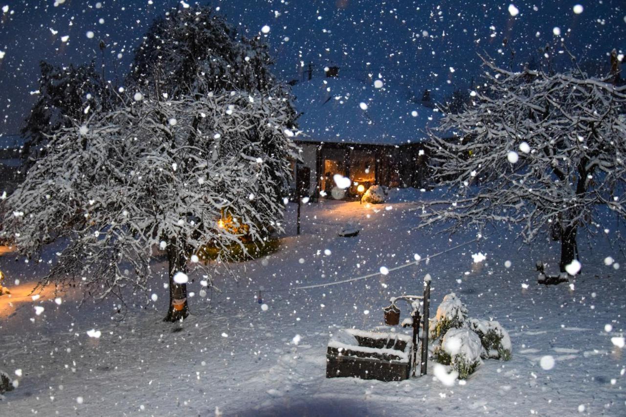 Il Fienile - Lake Como Heritage Home In Molino Maufet Watermill - Lake View Terrace 콜리코 외부 사진