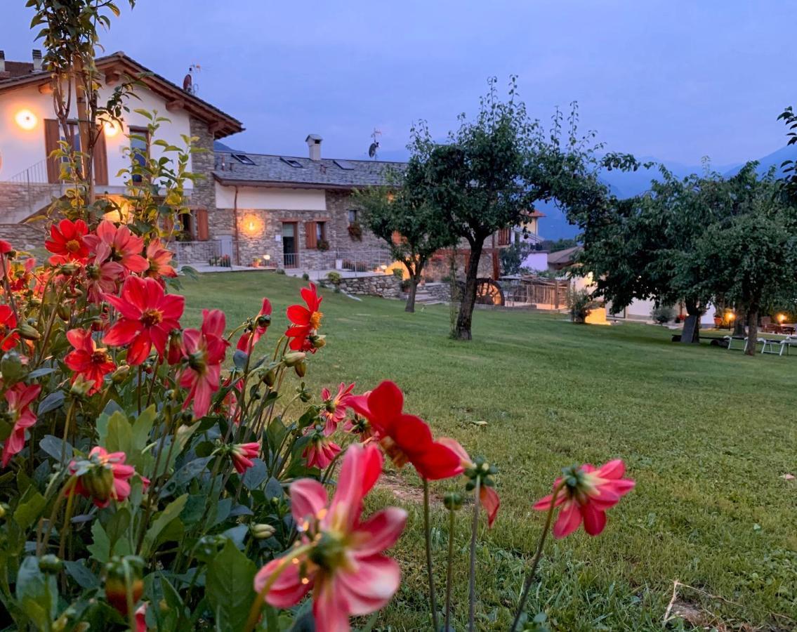 Il Fienile - Lake Como Heritage Home In Molino Maufet Watermill - Lake View Terrace 콜리코 외부 사진